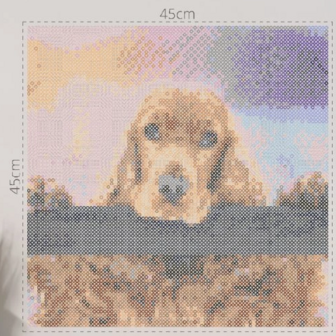 Fuse beads set Cocker Spaniel