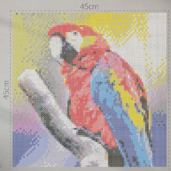 Fuse Beads Set Parrot