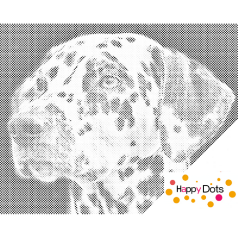 DOT Painting Dalmatian