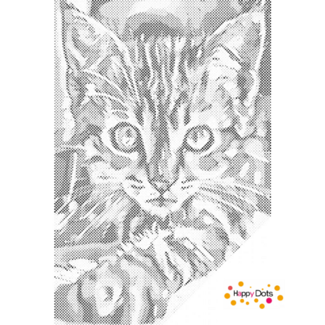 DOT Painting Chaton curieux