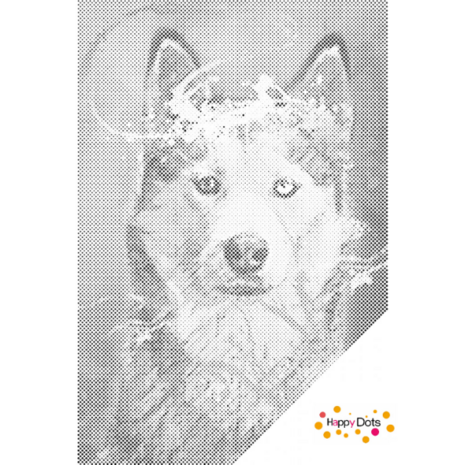 DOT Painting Portret Husky