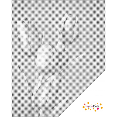 DOT Painting Petit bouquet de tulipes