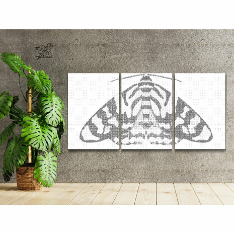 DOT Painting 3 panneaux Beautiful Moth