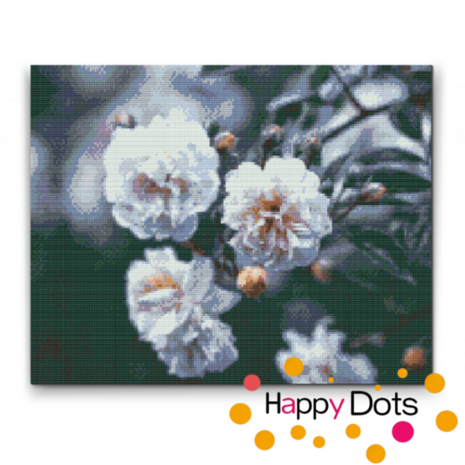 Diamond Painting Witte bloemen