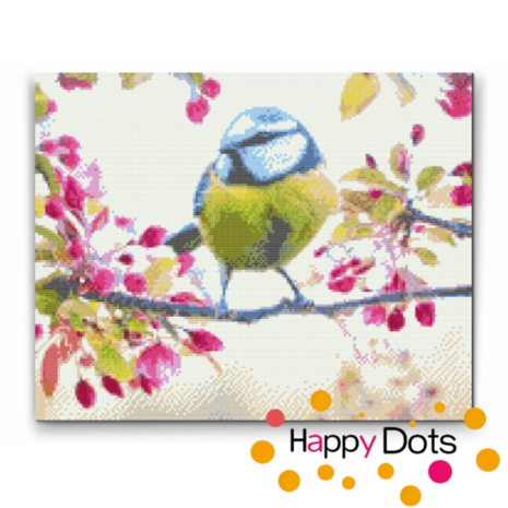 Diamond Painting Bird Blue Tit