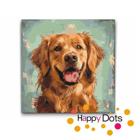 Paint by numbers Dog - Golden Retriever