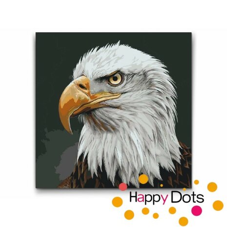 Paint by numbers Portrait Eagle