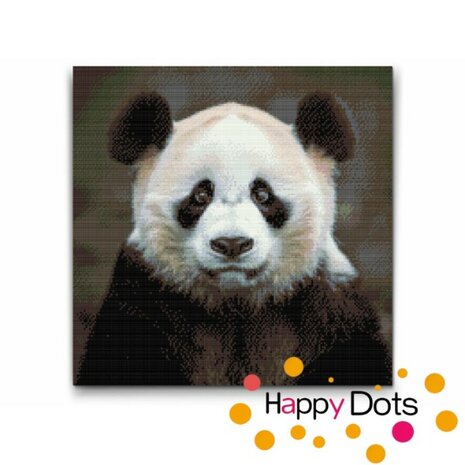 Diamond Painting Portrait Panda