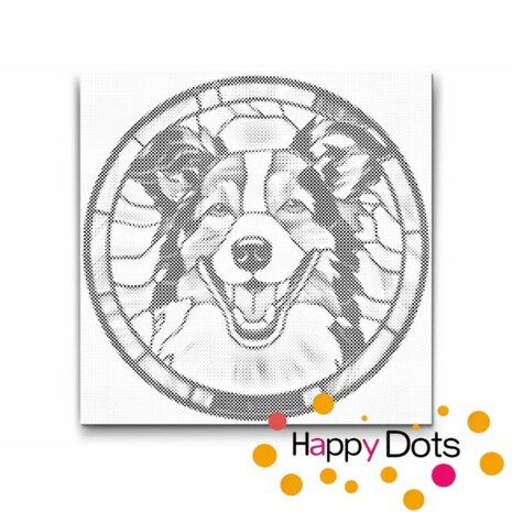 DOT Painting Hond - Collie