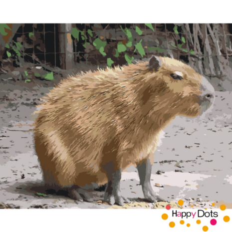 Schilderen op nummer Capybara