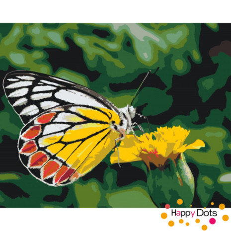 Paint by Number Butterfly on Yellow Flower