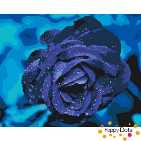 Paint by Number Blue Rose