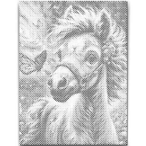 DOT Painting Cute Foal