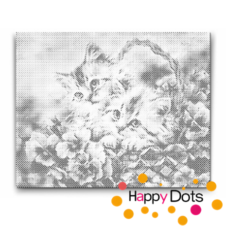 DOT Painting Chatons dans un panier