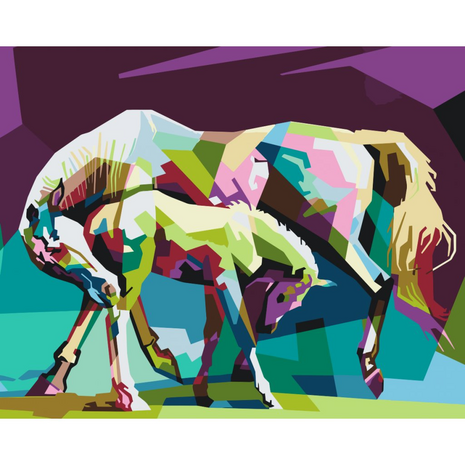 Peinture par num&eacute;ro Chevaux Color&eacute;s