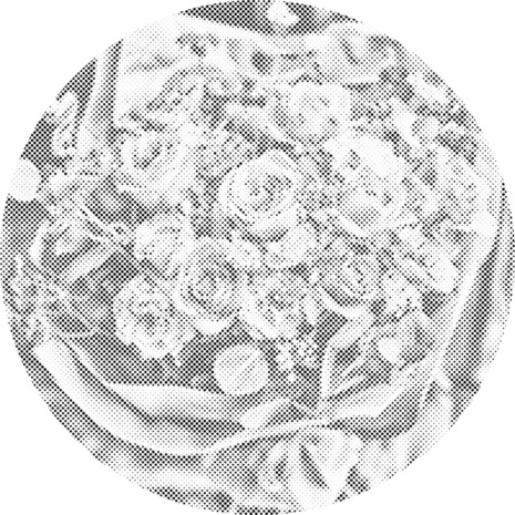 DOT Painting Bouquet Flowers