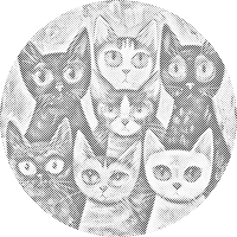 DOT Painting Famille de chats