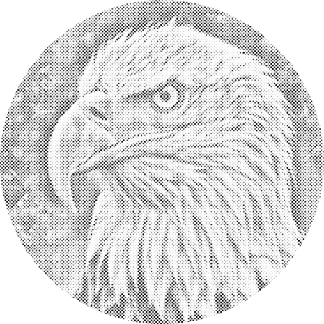 DOT Painting Eagle Portrait