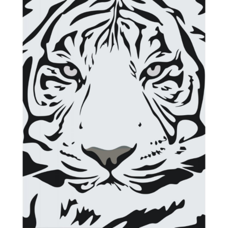 Painting by Numbers Black and White Tiger