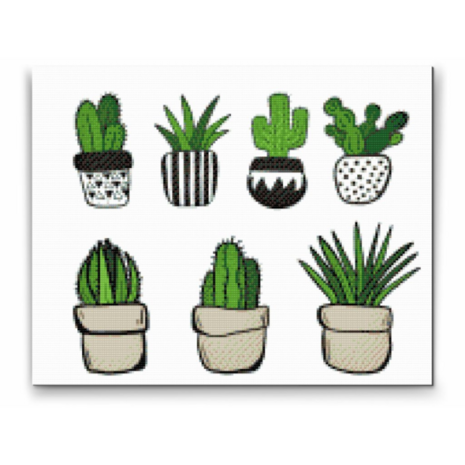 Diamond Painting Cactus en pots