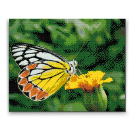 Diamond Painting Butterfly on Flower