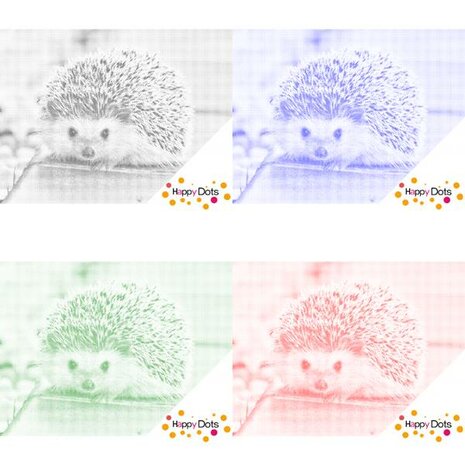 DOT Painting Igel