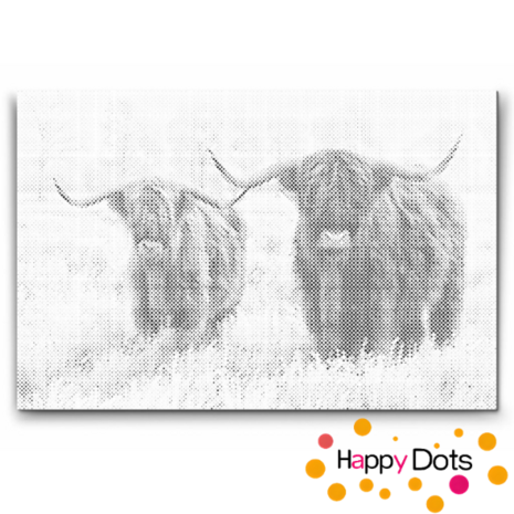 DOT Painting Schotse Hooglanders