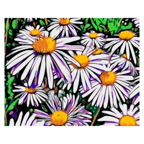 Paint by Number Daisies