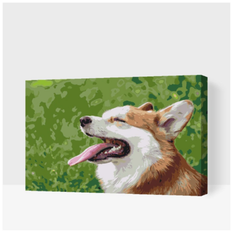 Schilderen op nummer Corgi