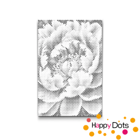 DOT Painting Pivoine