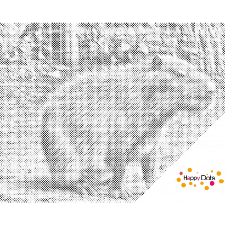 DOT Painting Capybara