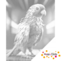 DOT Painting Small Parrot