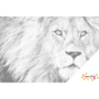 DOT Painting Portrait Lion