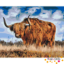 Paint by Number Scottish Highlander