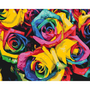 Painting by numbers Colorful Roses