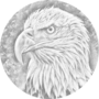 DOT Painting Eagle Portrait