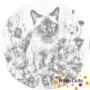 DOT Painting Katze mit Blumen - Siamesisch