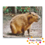 Diamond Painting Capybara