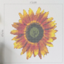 Bügelperlen-Set Sonnenblume